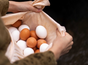 How Much Do I Need to Start an Egg Business?